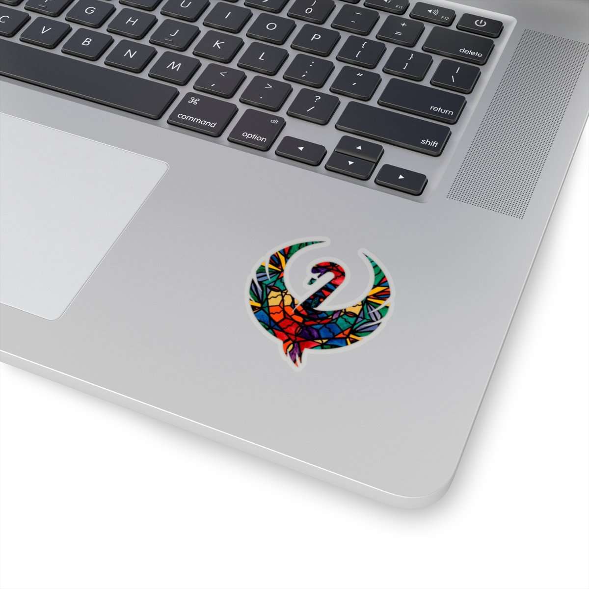shop-professional-and-licensed-alignment-swan-stickers-online-sale_1.jpg