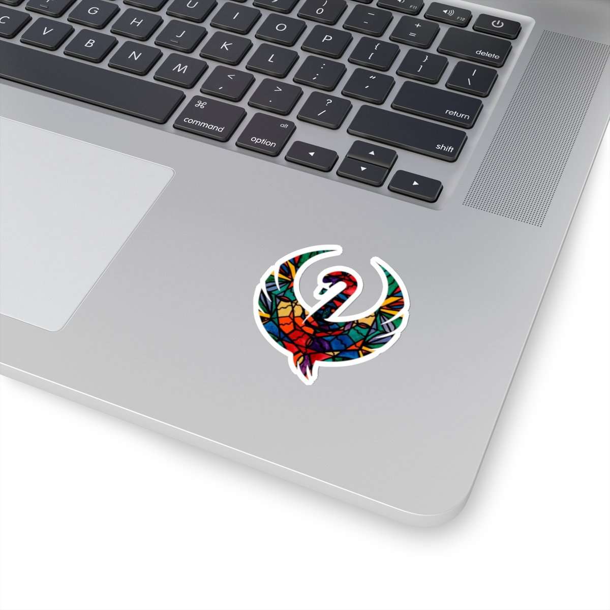 shop-professional-and-licensed-alignment-swan-stickers-online-sale_3.jpg