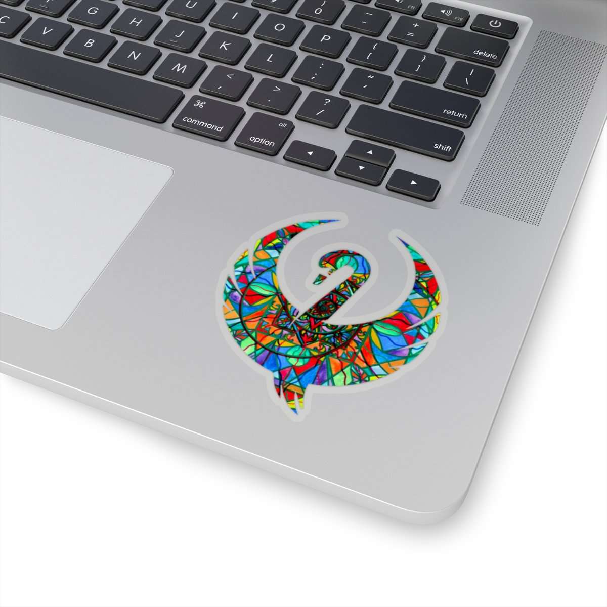 find-wholesale-improvement-swan-stickers-discount_5.jpg