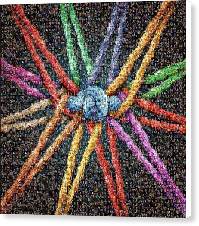 get-the-latest-in-sports-the-tribe-collage-canvas-print-online-hot-sale_2.jpg